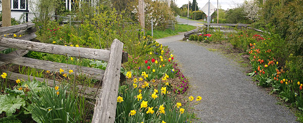 Saanichton Corner - Flowers