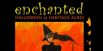 enchanted halloween